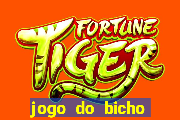 jogo do bicho crash bingo